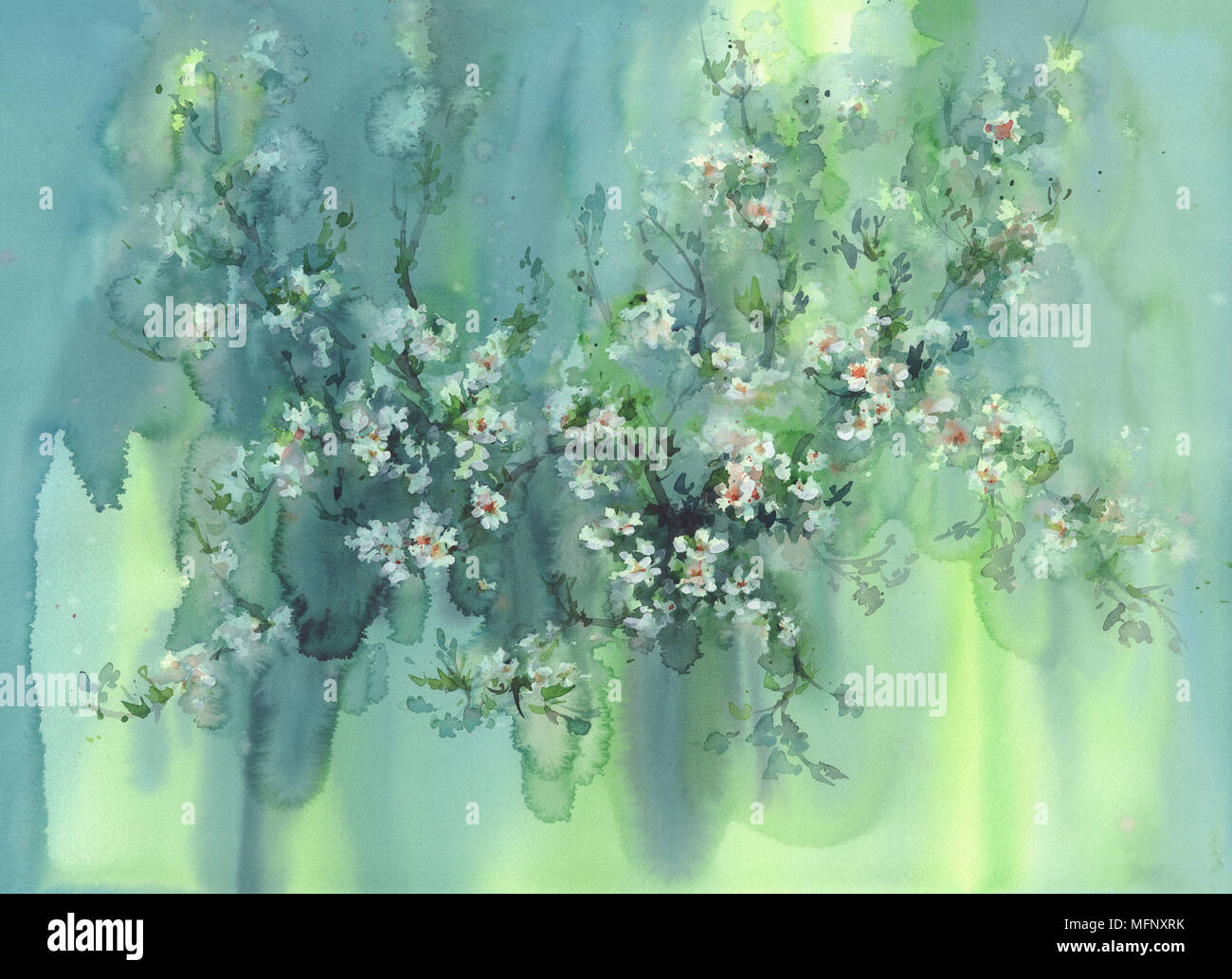 Contexte aquarelle fleurs de cerisier Banque D'Images