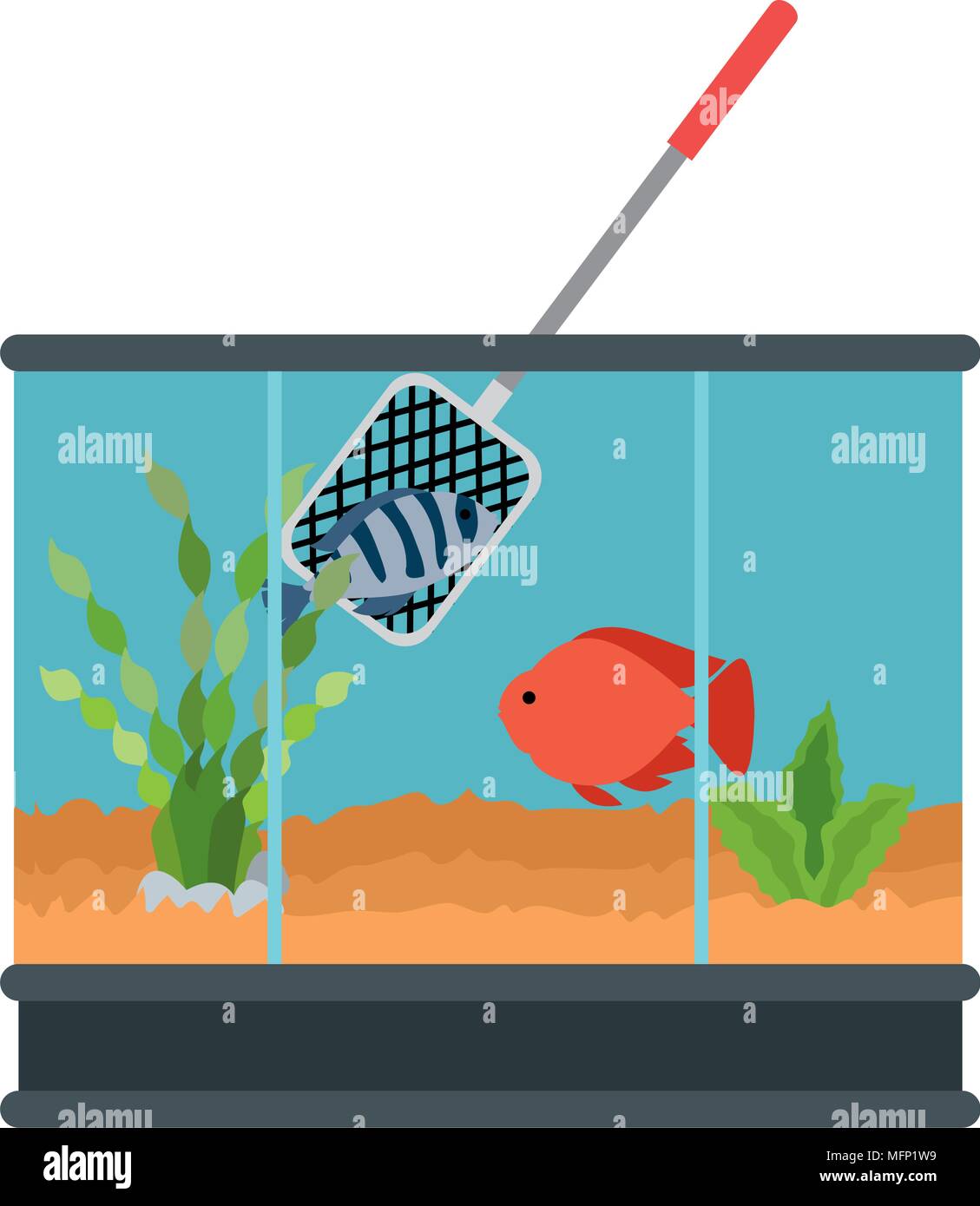 Aquarium carré avec des couleurs le poisson et la pêche vecteur net illustration design Illustration de Vecteur