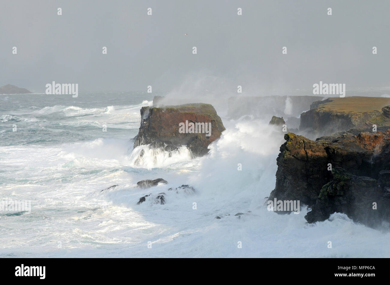 Soumission des vagues à Eshaness cliffs dans l'Île Shetland pendant une grosse tempête Atlantique Banque D'Images