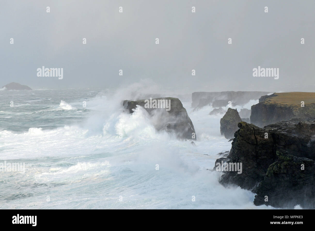 Soumission des vagues à Eshaness cliffs dans l'Île Shetland pendant une grosse tempête Atlantique Banque D'Images
