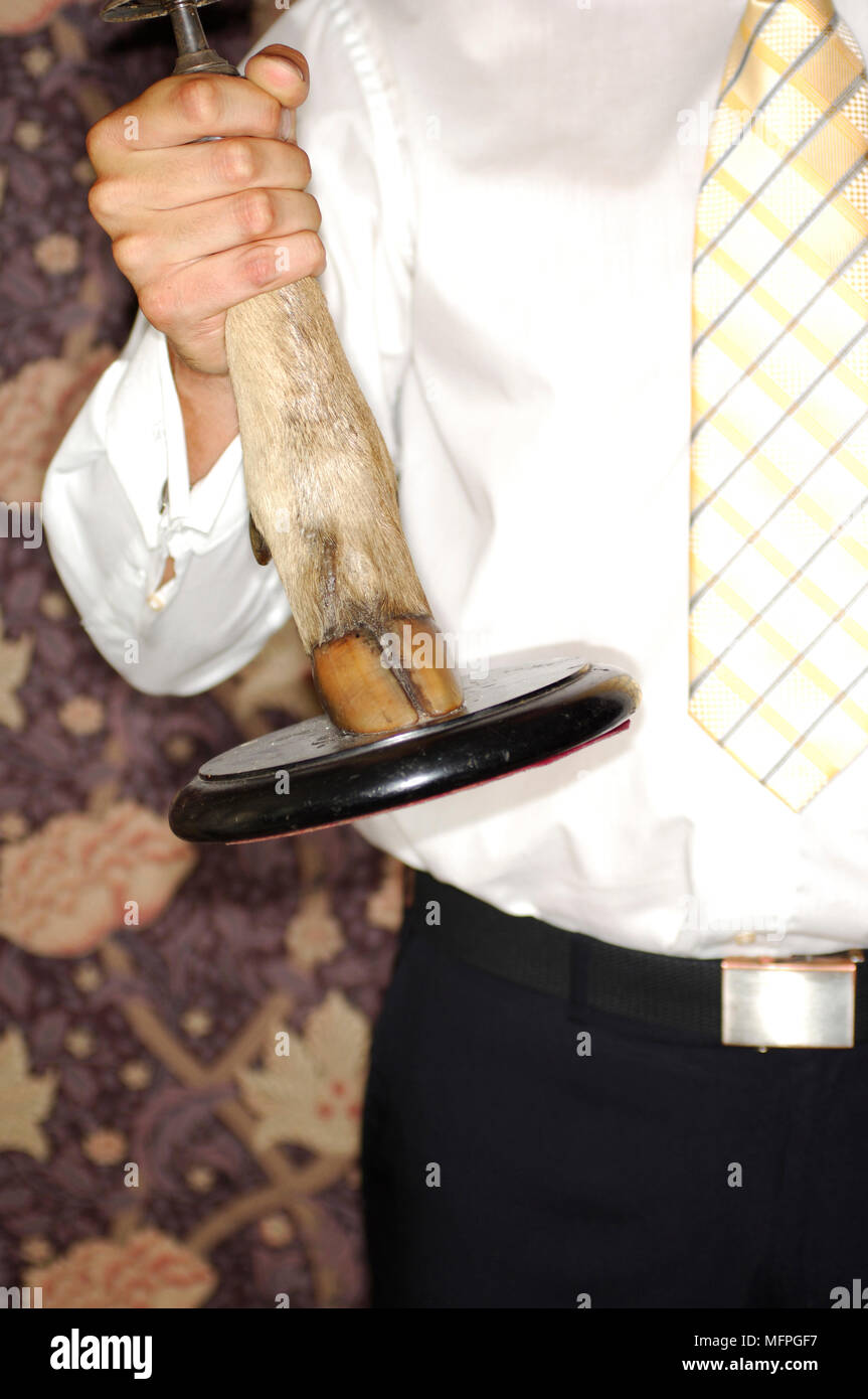 Mid section view of a businessman holding un chandelier porteur composé d'une jambe animale REF : 10016 112 CRUSC Crédit obligatoire : Stuart Cox/Photosho Banque D'Images