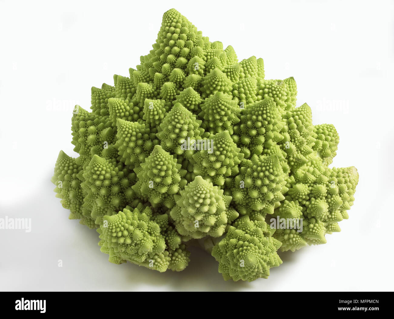 Le Chou Romanesco, Brassica oleracea against White Background Banque D'Images