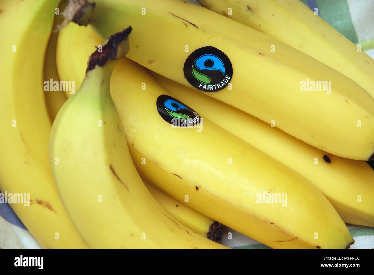 Un tas de bananes du commerce équitable Banque D'Images