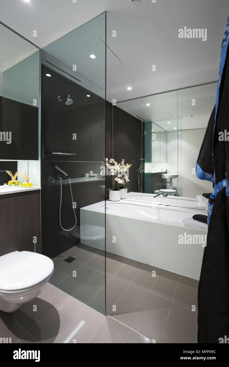 Espace douche derrière une vitre écran à côté de baignoire dans salle de  bains moderne Photo Stock - Alamy