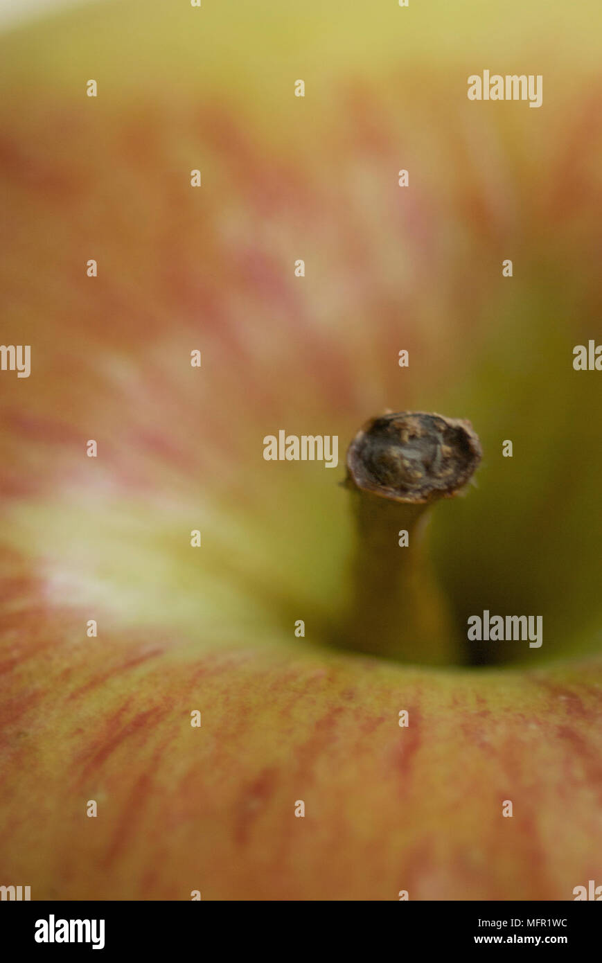 Close-up d'une pomme. Banque D'Images