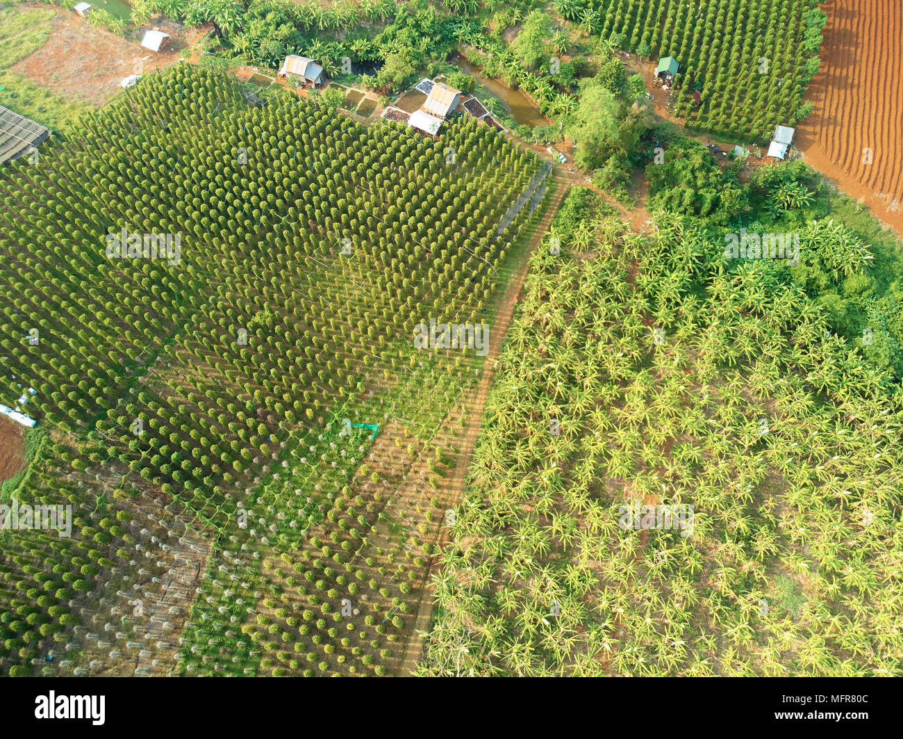 Drone aérien Vue sur campagne Cambodge Banque D'Images