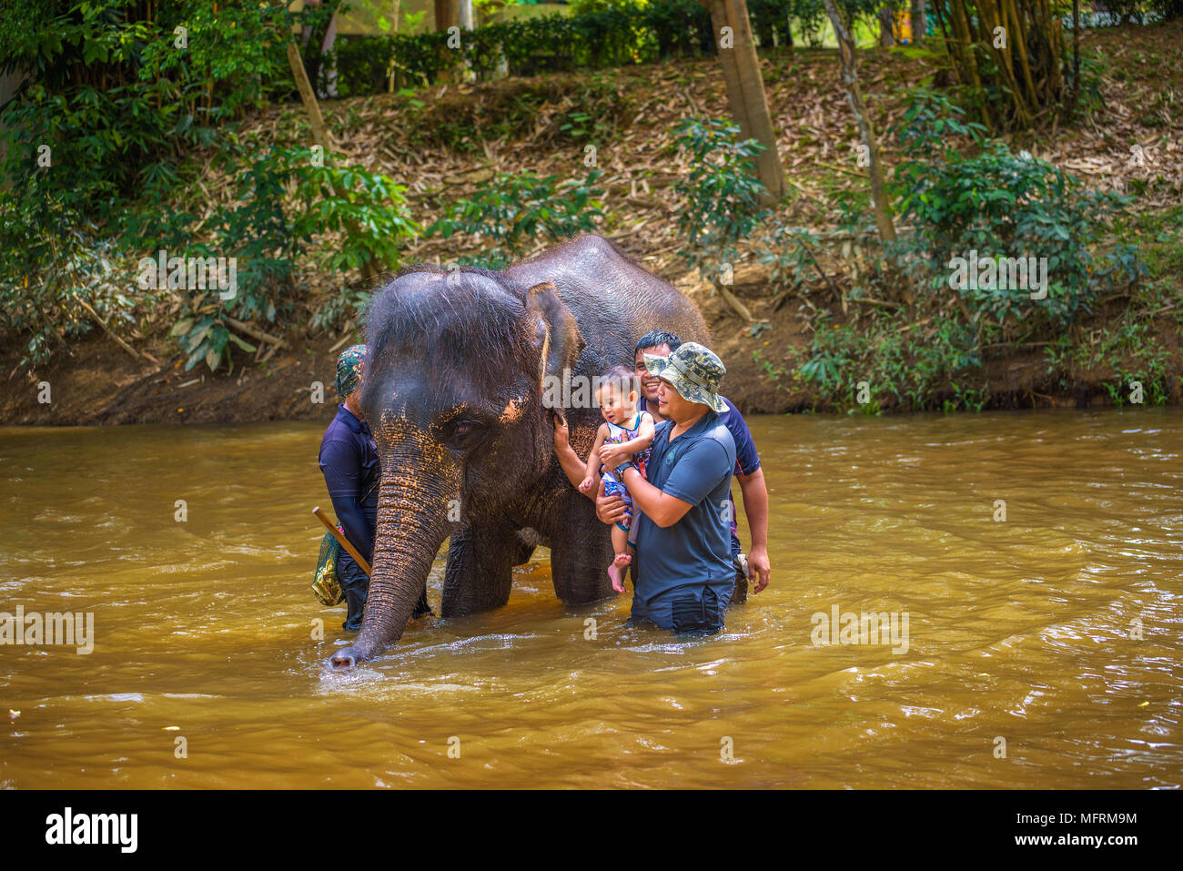 Les Malaisiens baignoire avec un bébé éléphant Banque D'Images