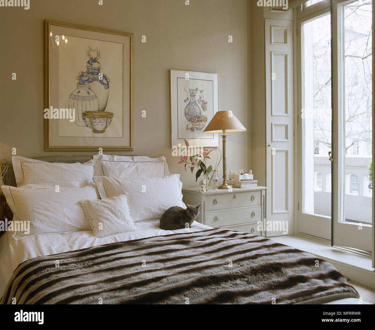 Chat assis sur un lit double avec fourrure rayée en chambre avec portes  françaises et les illustrations Photo Stock - Alamy