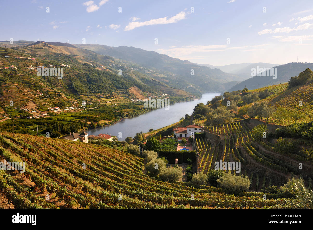 Barqueiros, sur le fleuve Douro est dans une très bonne région pour produire du vin. Portugal Banque D'Images