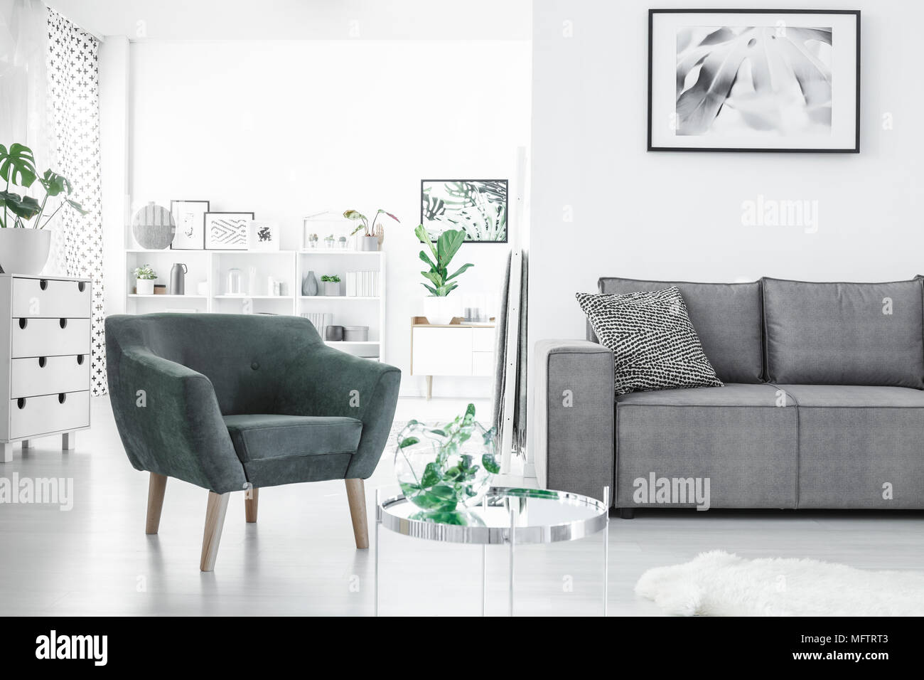 L'espace ouvert salon blanc intérieur avec des plantes fraîches, des affiches, de la table et fauteuil vert gris Banque D'Images