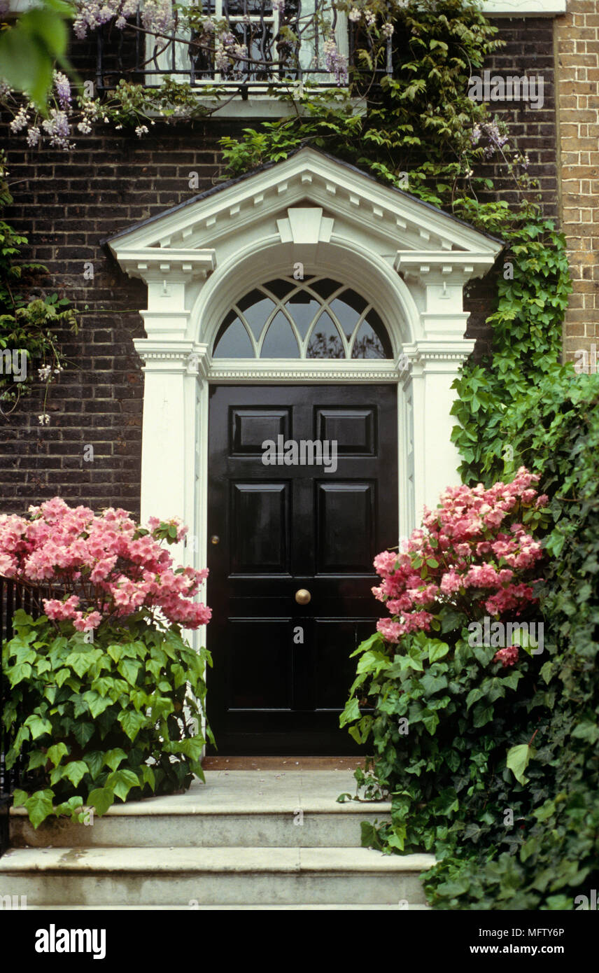 Entrée principale de la brique, de style géorgien à la maison avec une porte avant peint en noir et la floraison de la vigne. close up, Banque D'Images