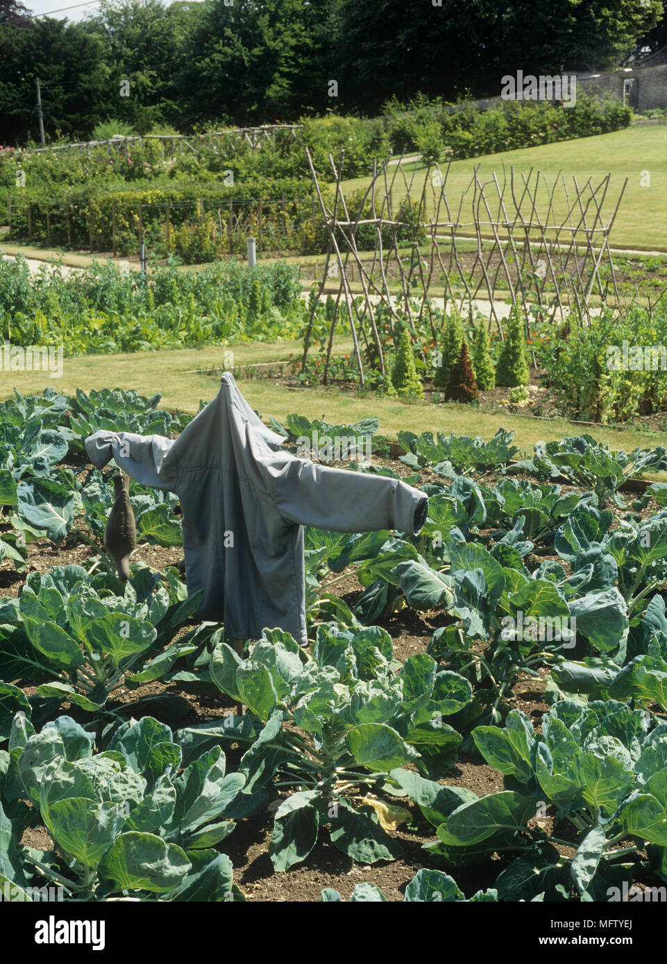 Potager et l'épouvantail dans un grand jardin à Ston Easton Park Banque D'Images