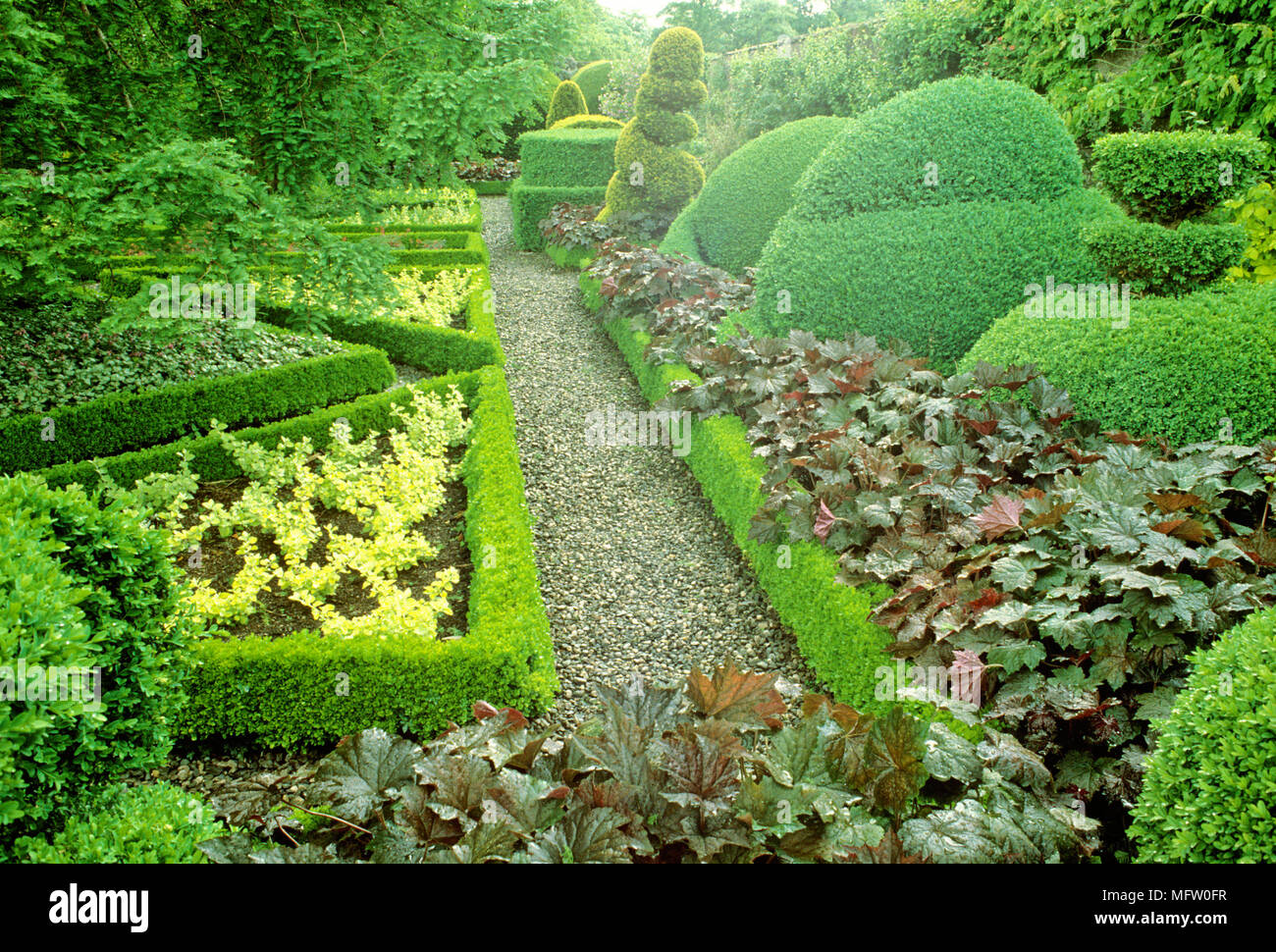 Jardin topiaire et formelle avec couverture buis taillés Banque D'Images