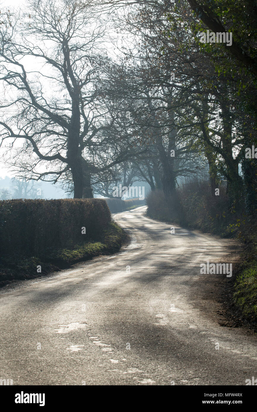 Une route de campagne sinueuse bordée de haies d'aubépine sur un ciel voilé, journée ensoleillée dans le Nord rural Dorset England UK Banque D'Images