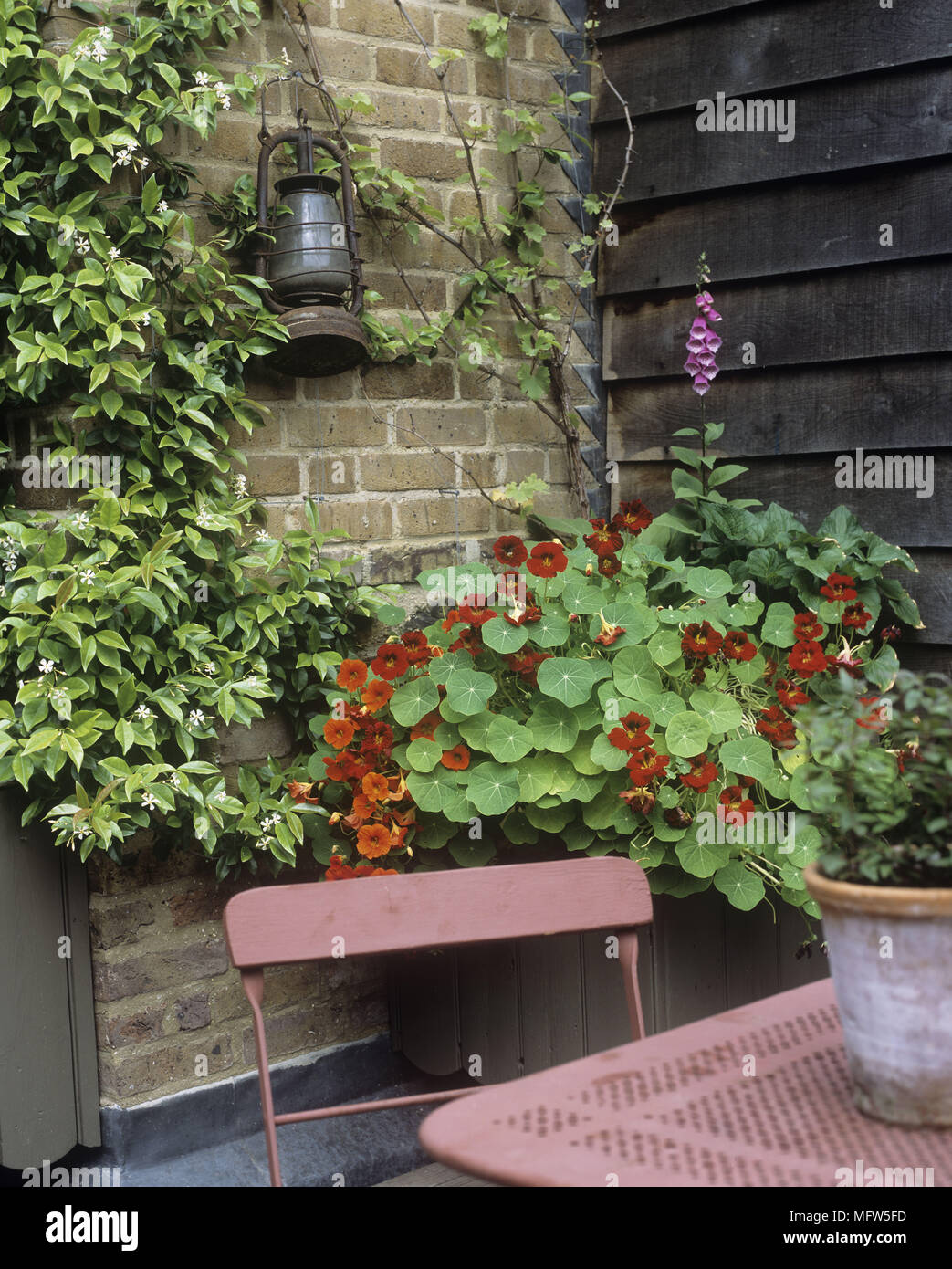 Un détail d'une table et de chaises de jardin avec des plantes et une lampe. Banque D'Images