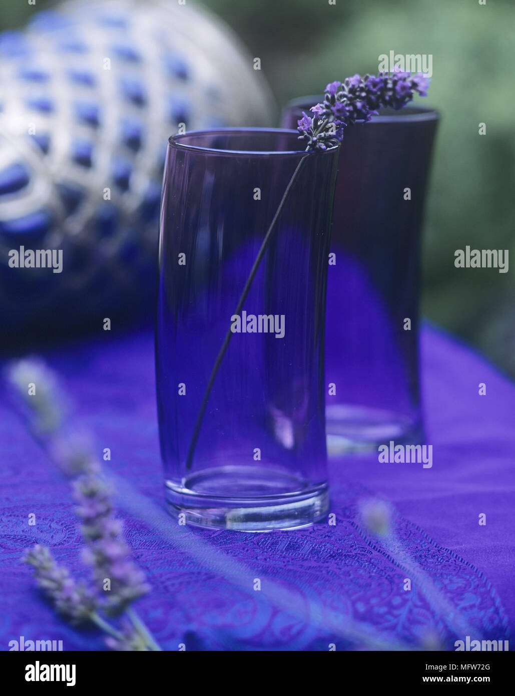 Un détail d'un brin de lavande placés dans l'une des deux lunettes bleu Banque D'Images