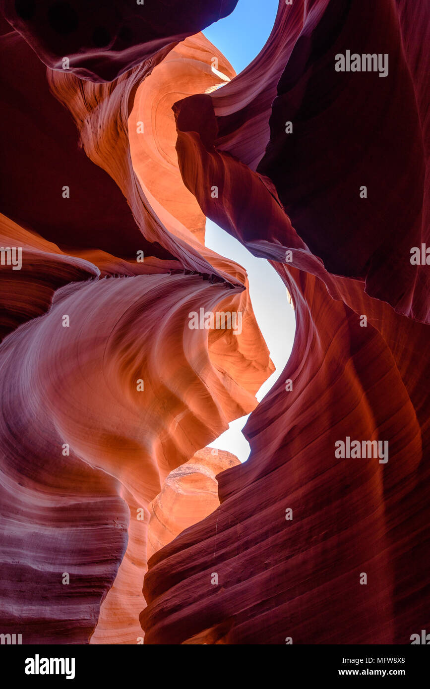 Les formes de grès lisse de Lower Antelope Canyon près de Page, Arizona Banque D'Images