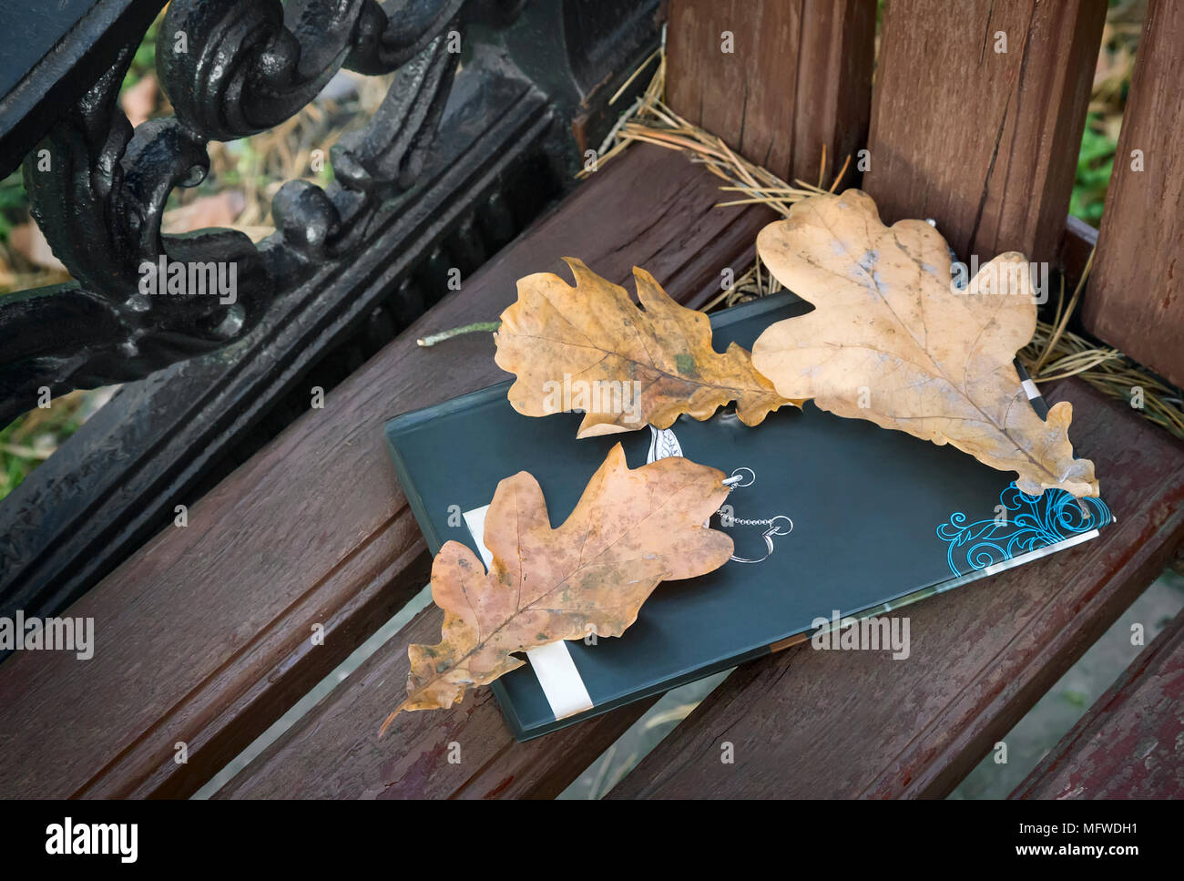 Sur un banc en bois dans le parc réserve et jaune tombée automne feuilles de chêne. Banque D'Images