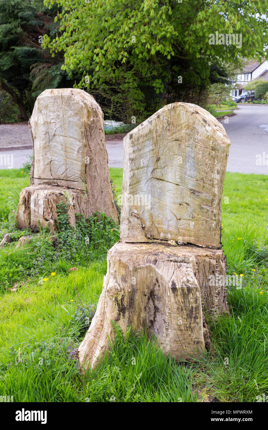 Deux chaises taillées dans des troncs d'arbres, Weobley vilage vert, Herefordshire UK Banque D'Images
