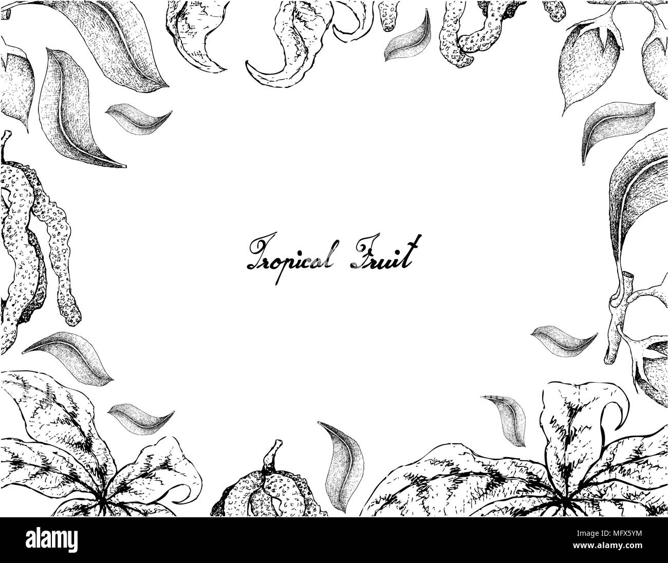 Fruits tropicaux, Illustration cadre de croquis de la main Aboirana ou Pouteria Venosa et Asiatiques Bulletwood, Bukal, Tanjong Tree, nèfle, Espagnol Che Illustration de Vecteur