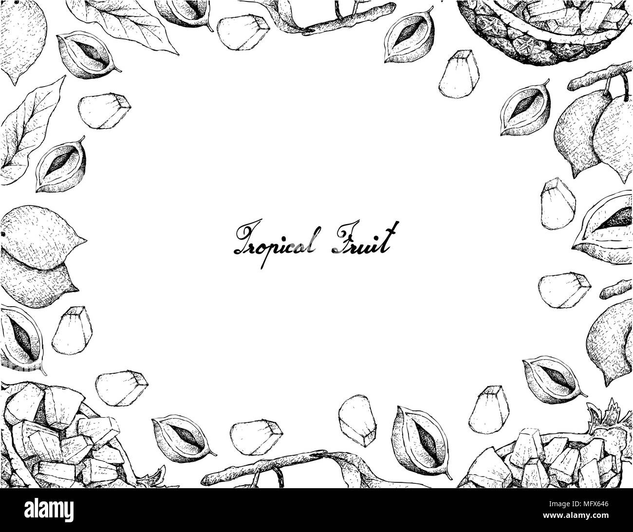 Fruits frais, Illustration cadre de croquis à main jaune ou d'ananas frais et délicieux Ananas Comosus et Abiu Pouteria Caimito isolé ou Fruits Illustration de Vecteur