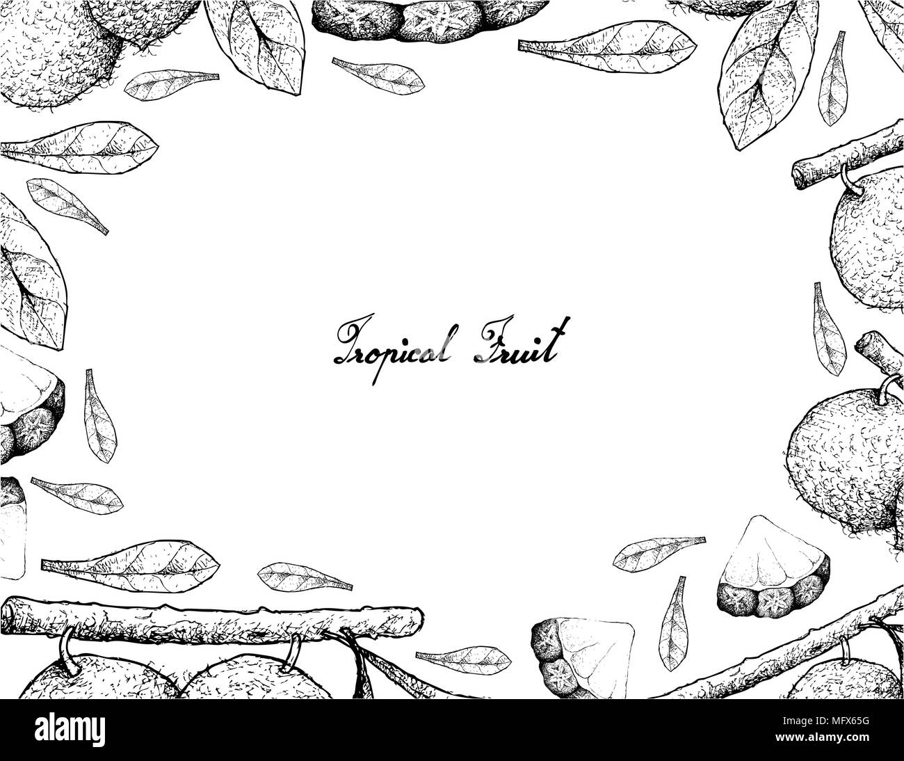 Fruits tropicaux, Illustration cadre de croquis de la main Aboirana ou Pouteria Venosa et d'ananas ou de fruits Ananas Comosus isolé sur un bac blanc Illustration de Vecteur