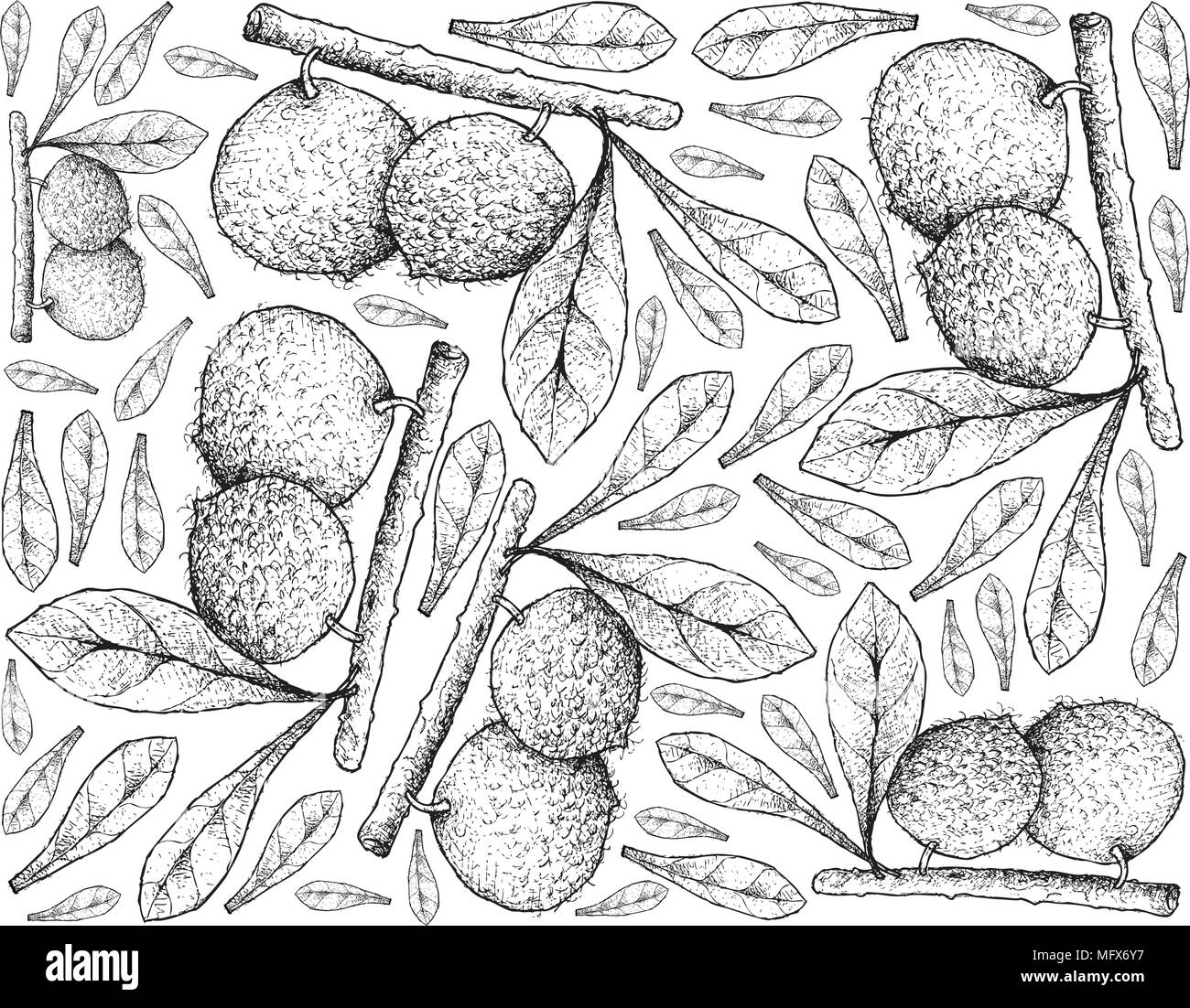 Les fruits tropicaux, Illustration Papier peint fond de croquis de la main Aboirana ou Pouteria Venosa Fruits. Haut en vitamine C Avec Nutrie essentiels Illustration de Vecteur