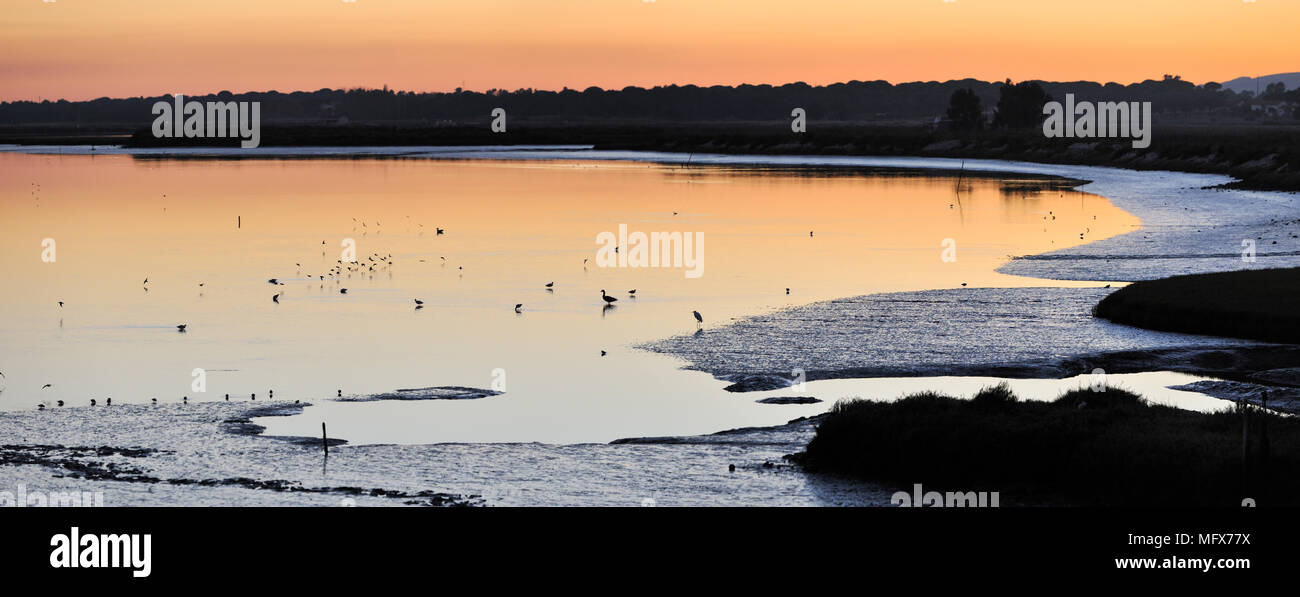 Les marais de la réserve naturelle de l'estuaire du Sado au coucher du soleil. Portugal Banque D'Images