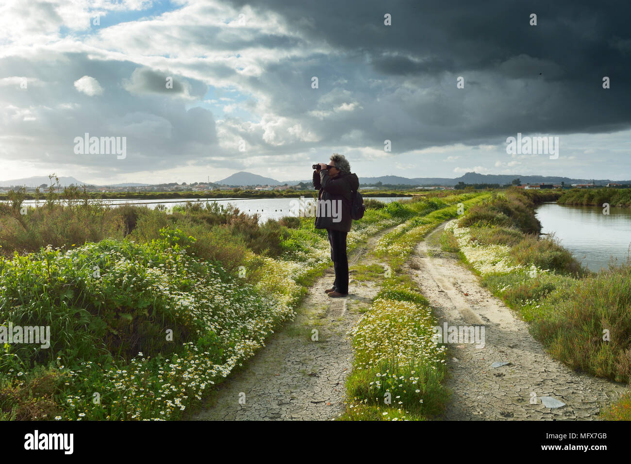 L'observation des oiseaux à la réserve naturelle de l'estuaire de la rivière Sado, le long de beaux sentiers de randonnée. Portugal Banque D'Images