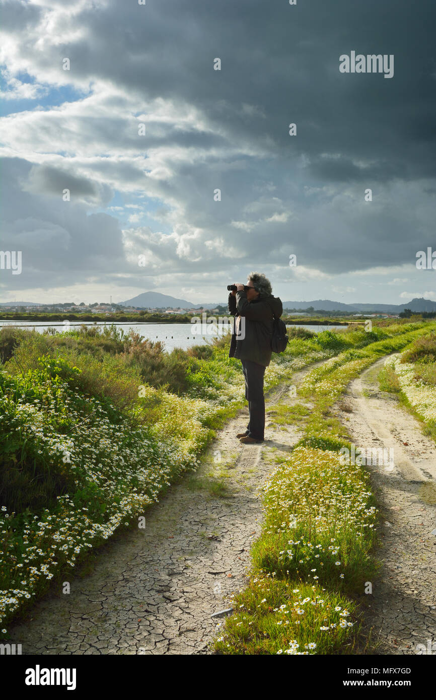 L'observation des oiseaux à la réserve naturelle de l'estuaire de la rivière Sado, le long de beaux sentiers de randonnée. Portugal Banque D'Images