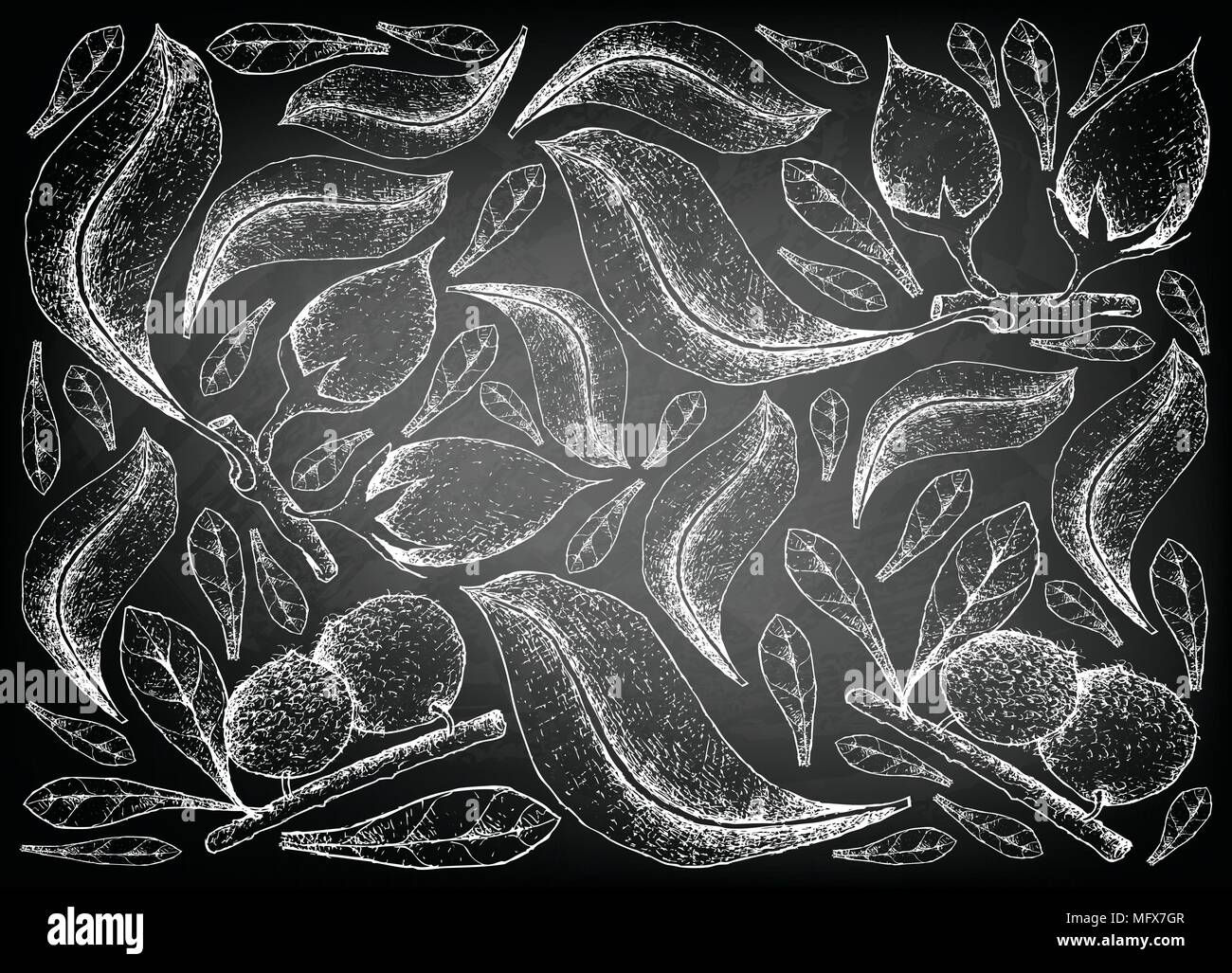 Les fruits tropicaux, Illustration Papier peint fond de croquis de la main Aboirana ou Pouteria Venosa et Bulletwood, Bukal Tanjong, arbre, nèfle, Sp Illustration de Vecteur