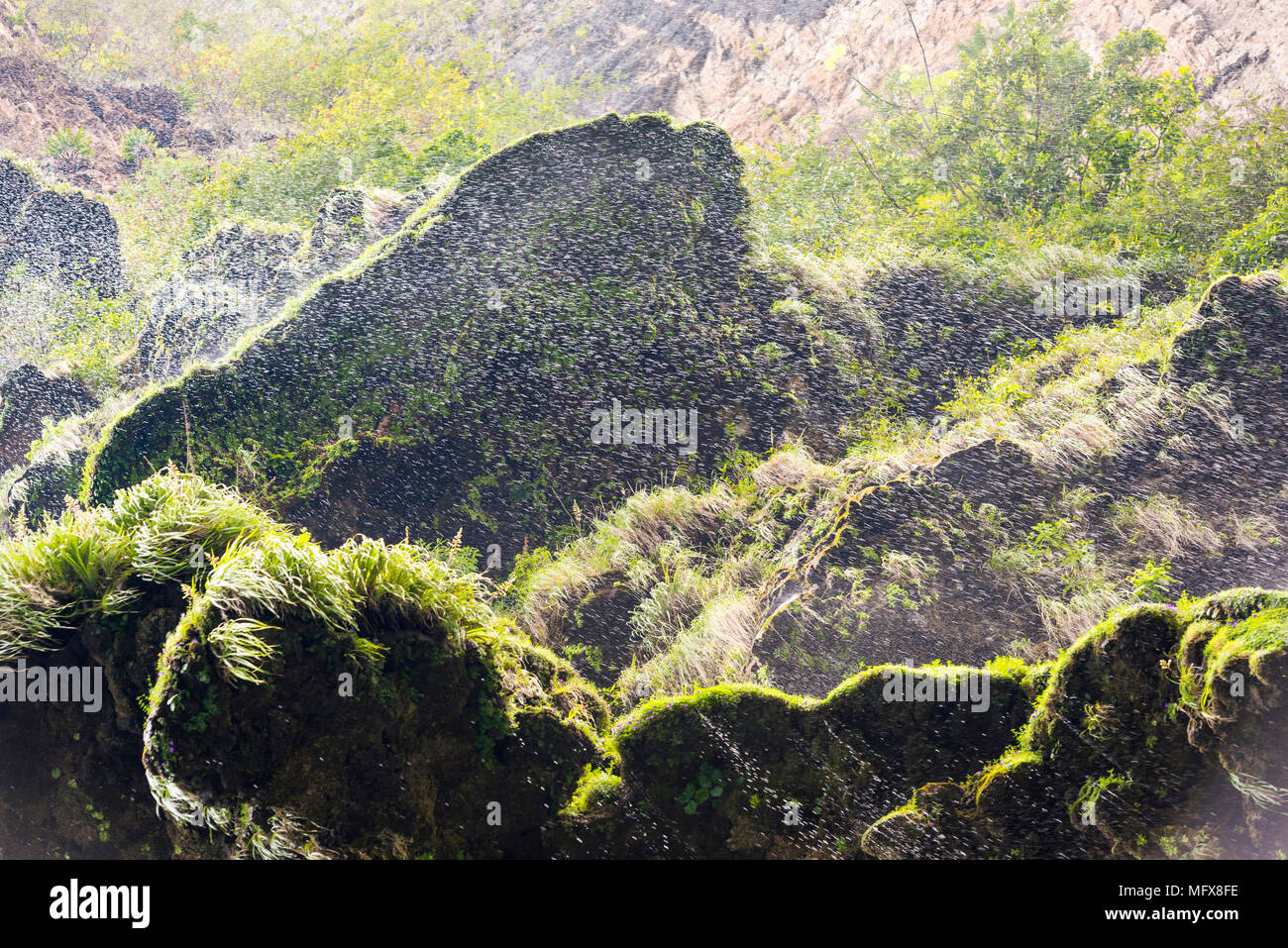 Brume sur mousse verte à partir d'une chute d'une falaise dans le Canyon du Sumidero Chiapas, Mexique Banque D'Images