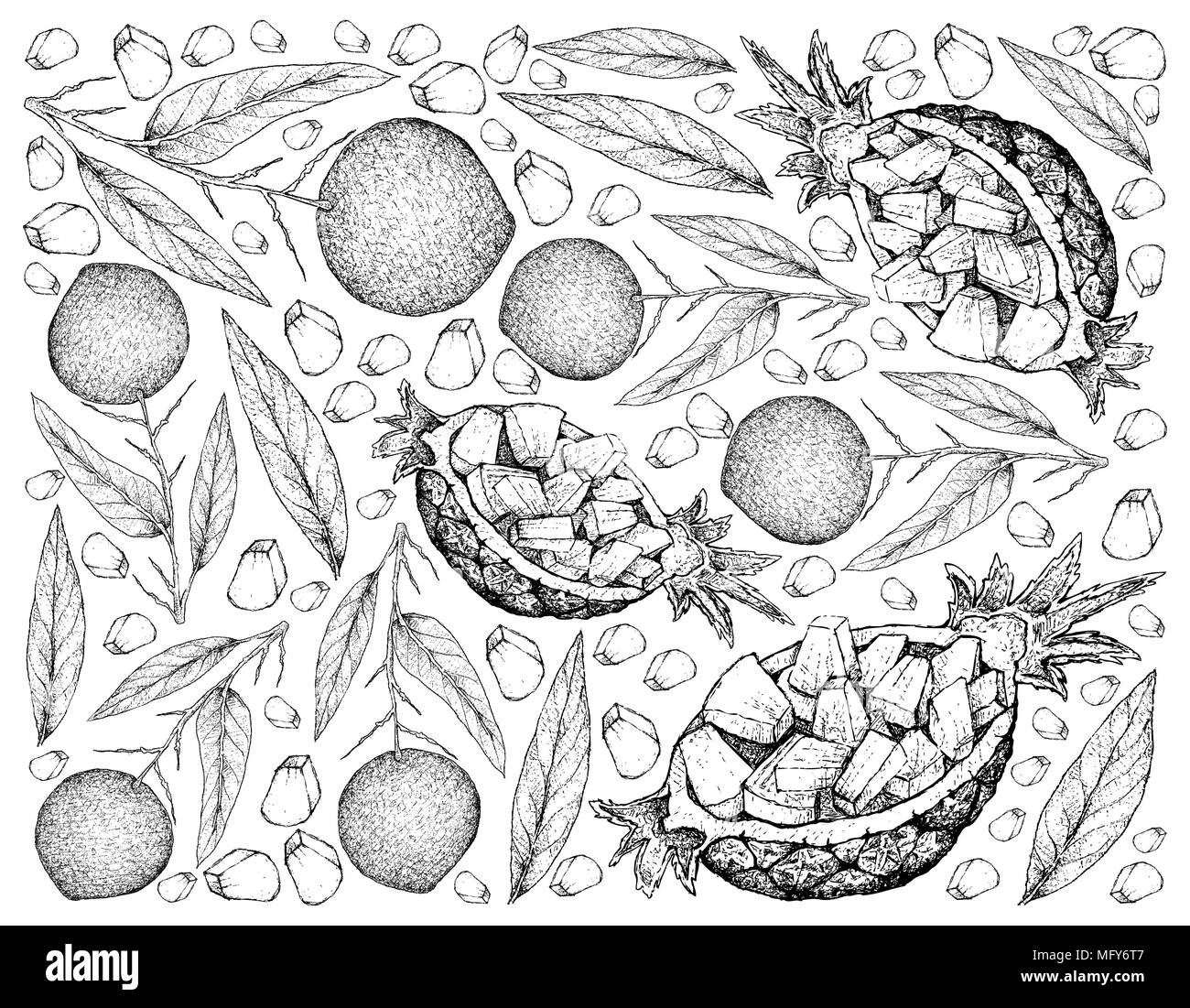 Les fruits tropicaux, Illustration Papier peint fond de croquis dessinés à la main, jaune ou d'ananas frais et délicieux Ananas Comosus et Apple Mango Fruits. Banque D'Images