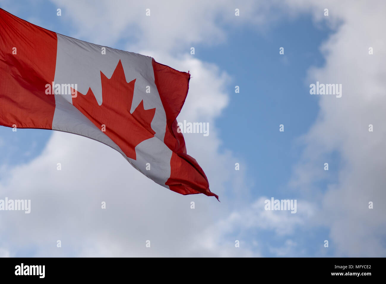 Drapeau national du Canada dans le vent avec ciel bleu et nuages en arrière-plan Banque D'Images