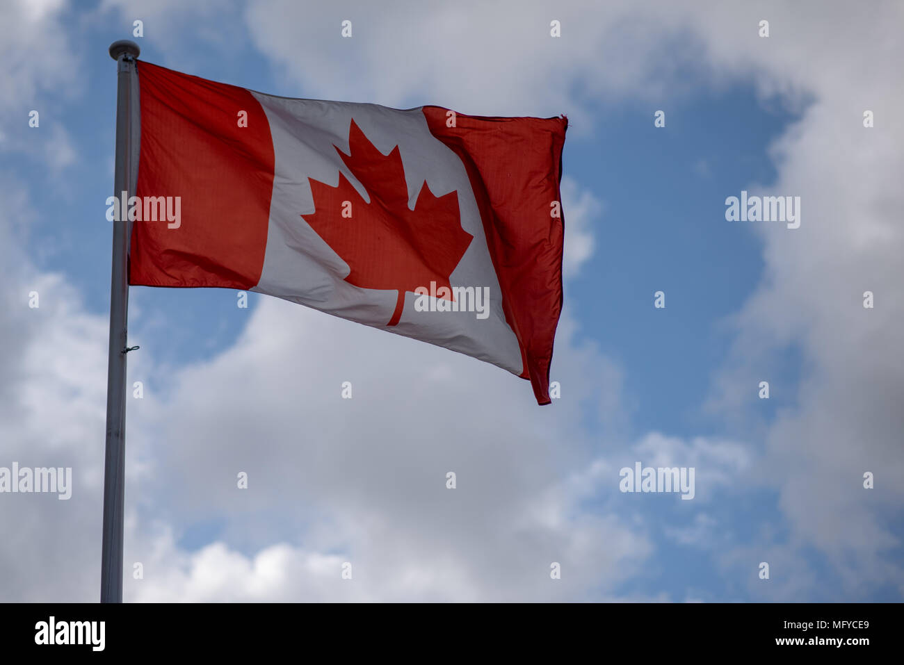 Drapeau national du Canada dans le vent avec ciel bleu et nuages en arrière-plan Banque D'Images