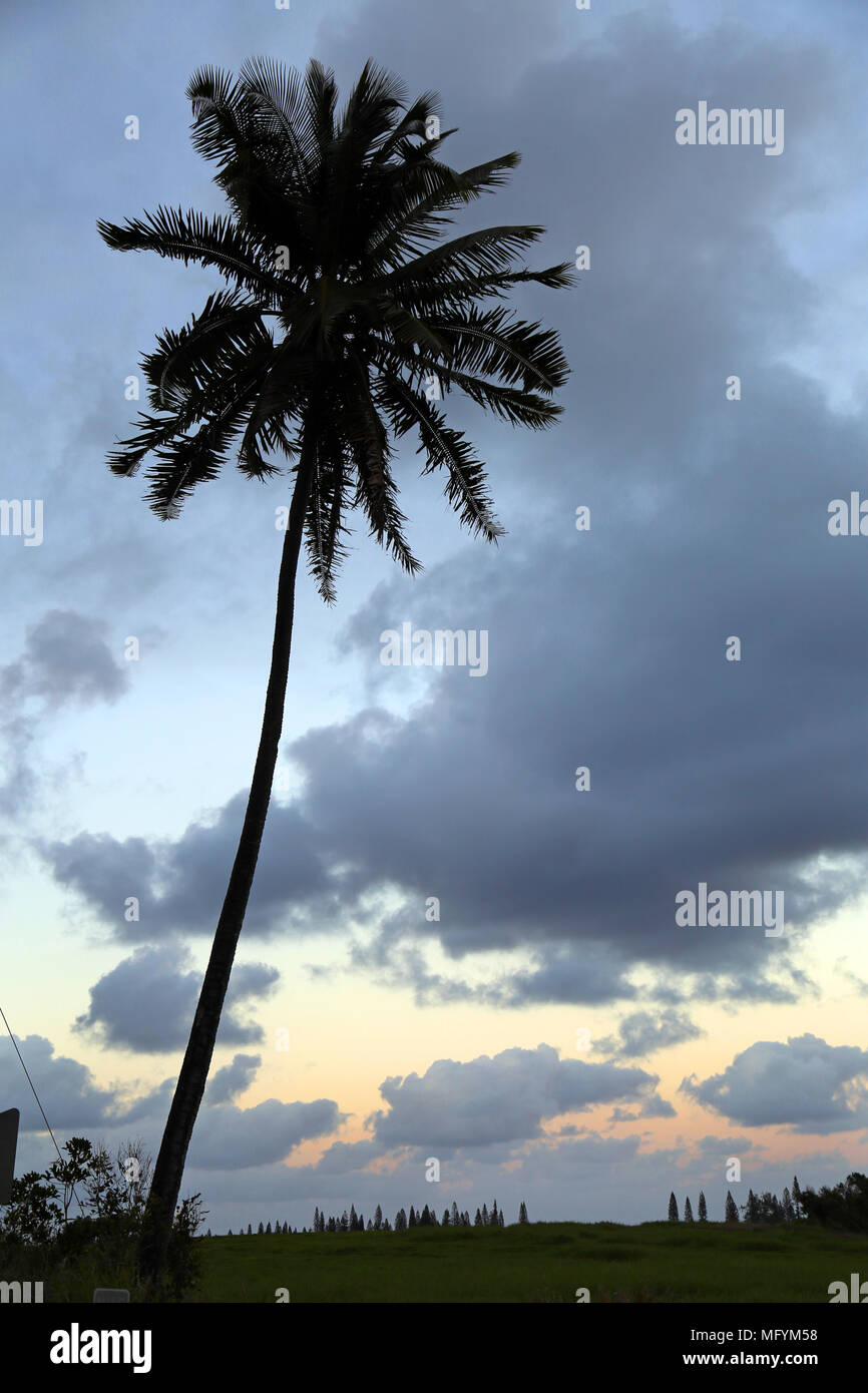 Le coucher du soleil, Hana, Maui Banque D'Images