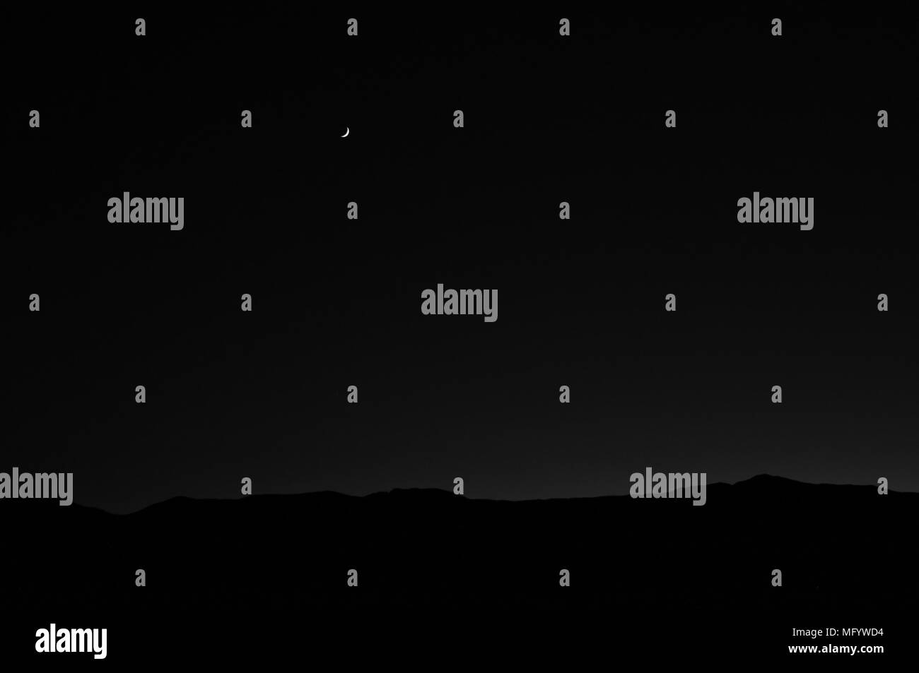 Jour brumeux sur la côte près d'Eureka en Californie Banque D'Images