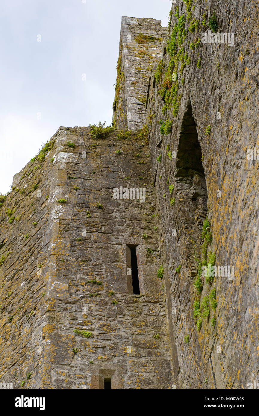 Chapelle du Roi Cormac Mac Carthaigh sur le Rock of Cashel (Carraig Phadraig), Cashel des Rois et Saint Patrick's Rock Banque D'Images