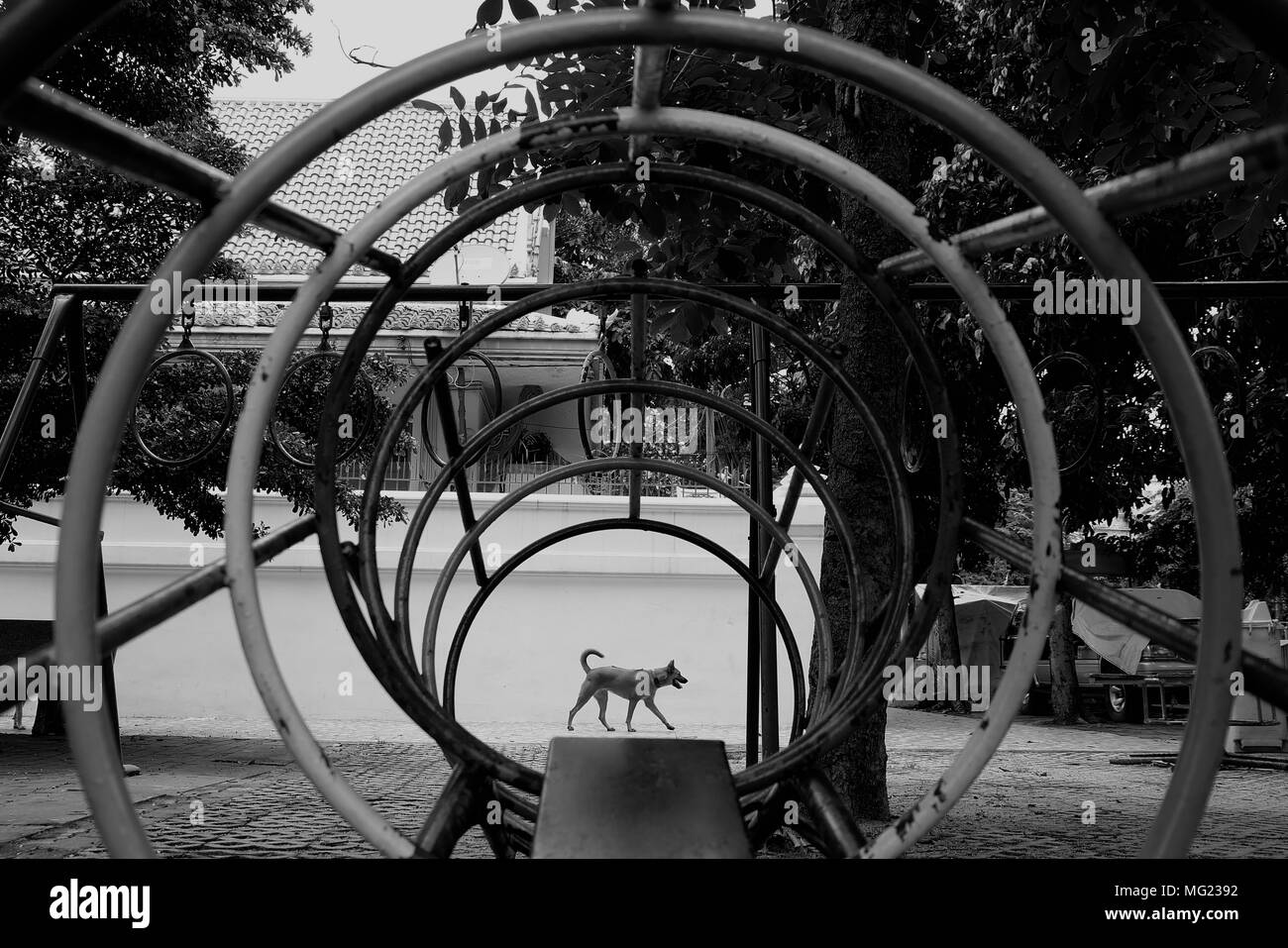 Promenade de chiens en aire de jeux. (Style noir et blanc) Banque D'Images