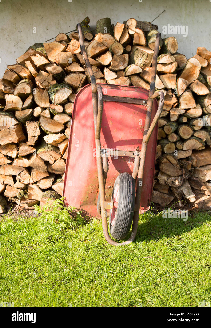 Vieille brouette métal rouge appuyé contre le bois de sciage en tas jardin, Vega, Wiltshire, England, UK Banque D'Images