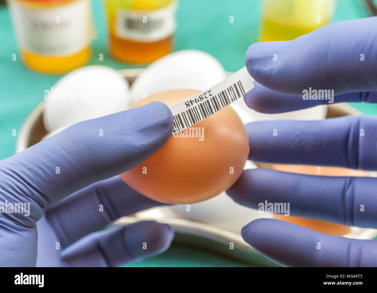Marque scientifique avec les œufs label en mauvais état d'examiner dans le laboratoire, clinique, conceptual image Banque D'Images