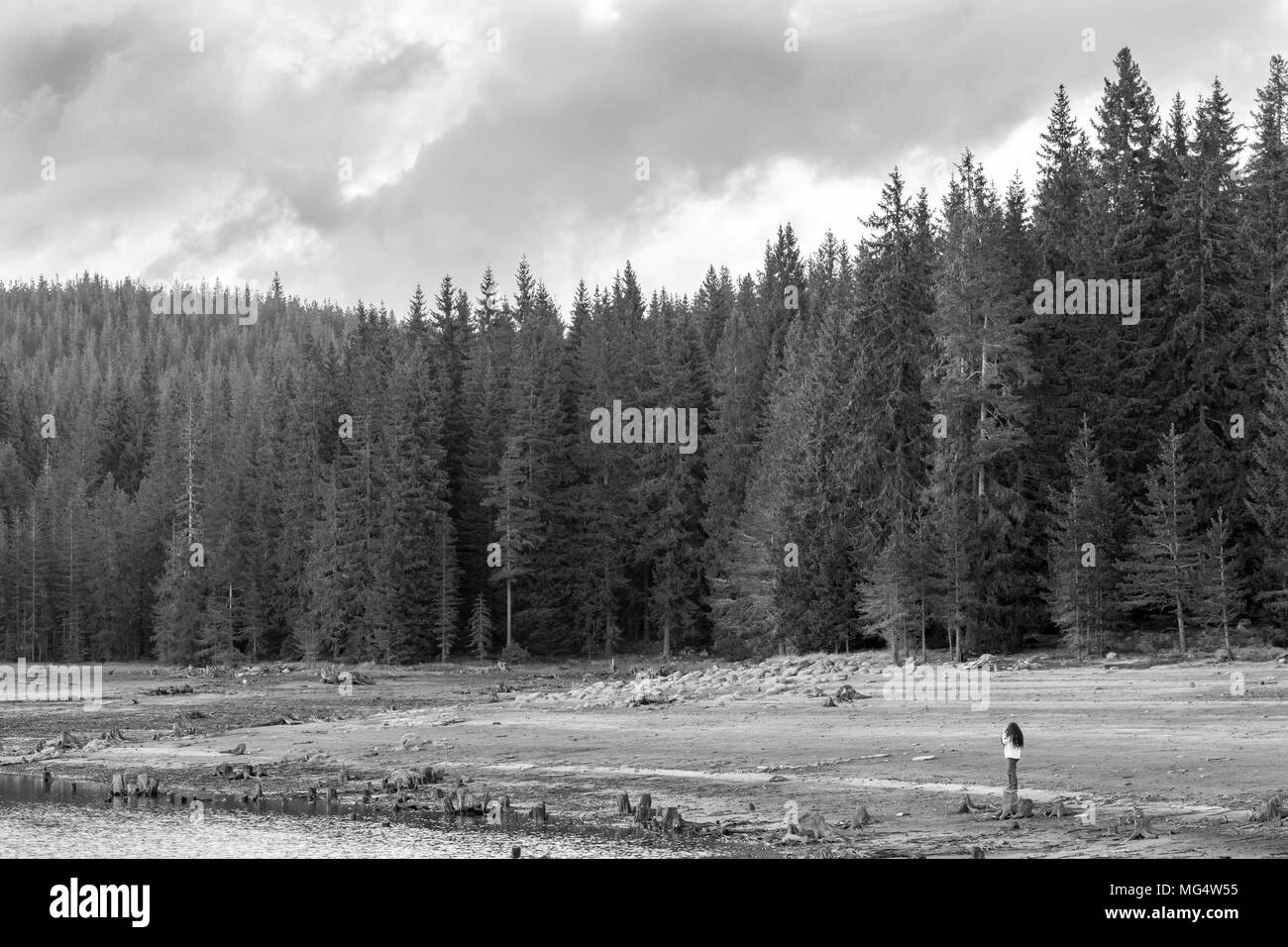 Spring Lake paysage et fille avec de longs cheveux sur la souche, un contraste élevé avec des pins de montagne et de collines et de terres. Image en noir et blanc à S Banque D'Images