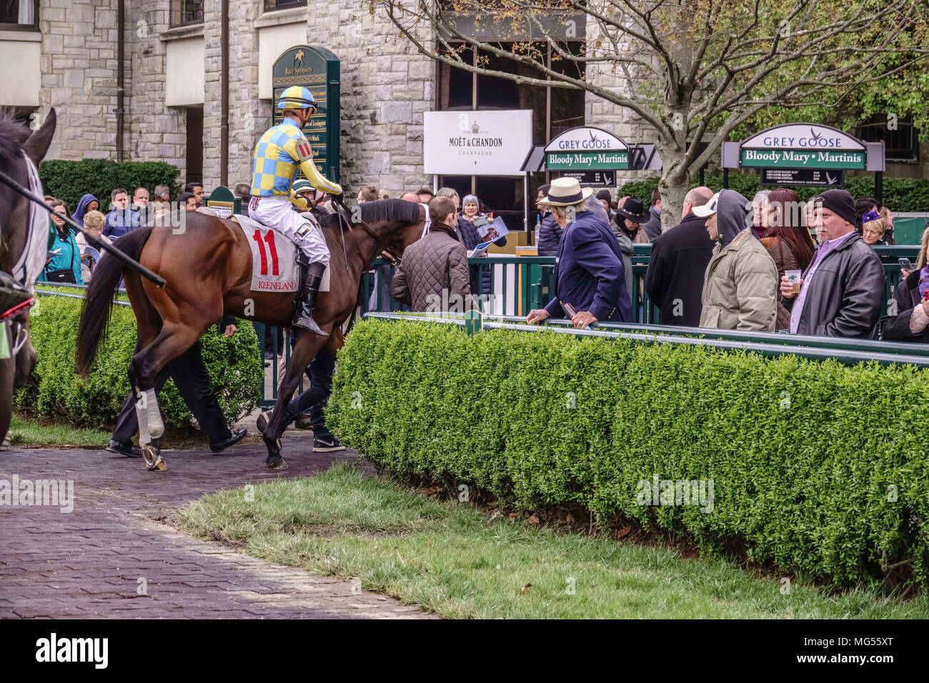 LEXINGTON, KY/USA - Le 19 avril 2018 : Fans obtenir un dernier regard étroit comme un jockey guide son pur-sang du paddock à la piste avant la première Banque D'Images