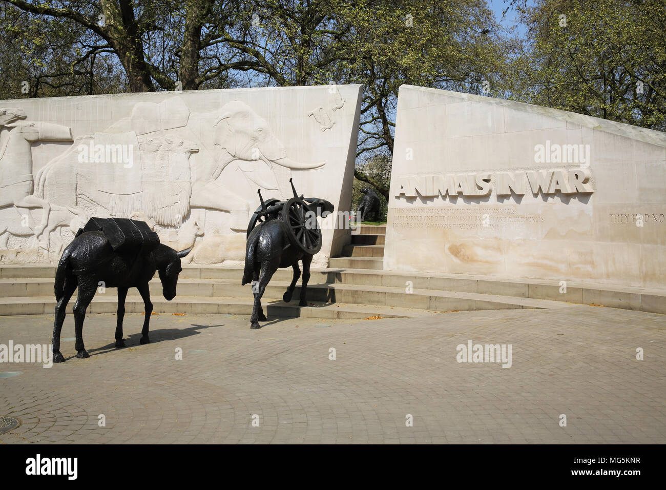 Se souvenir des animaux de la guerre Banque d'image et photos Alamy