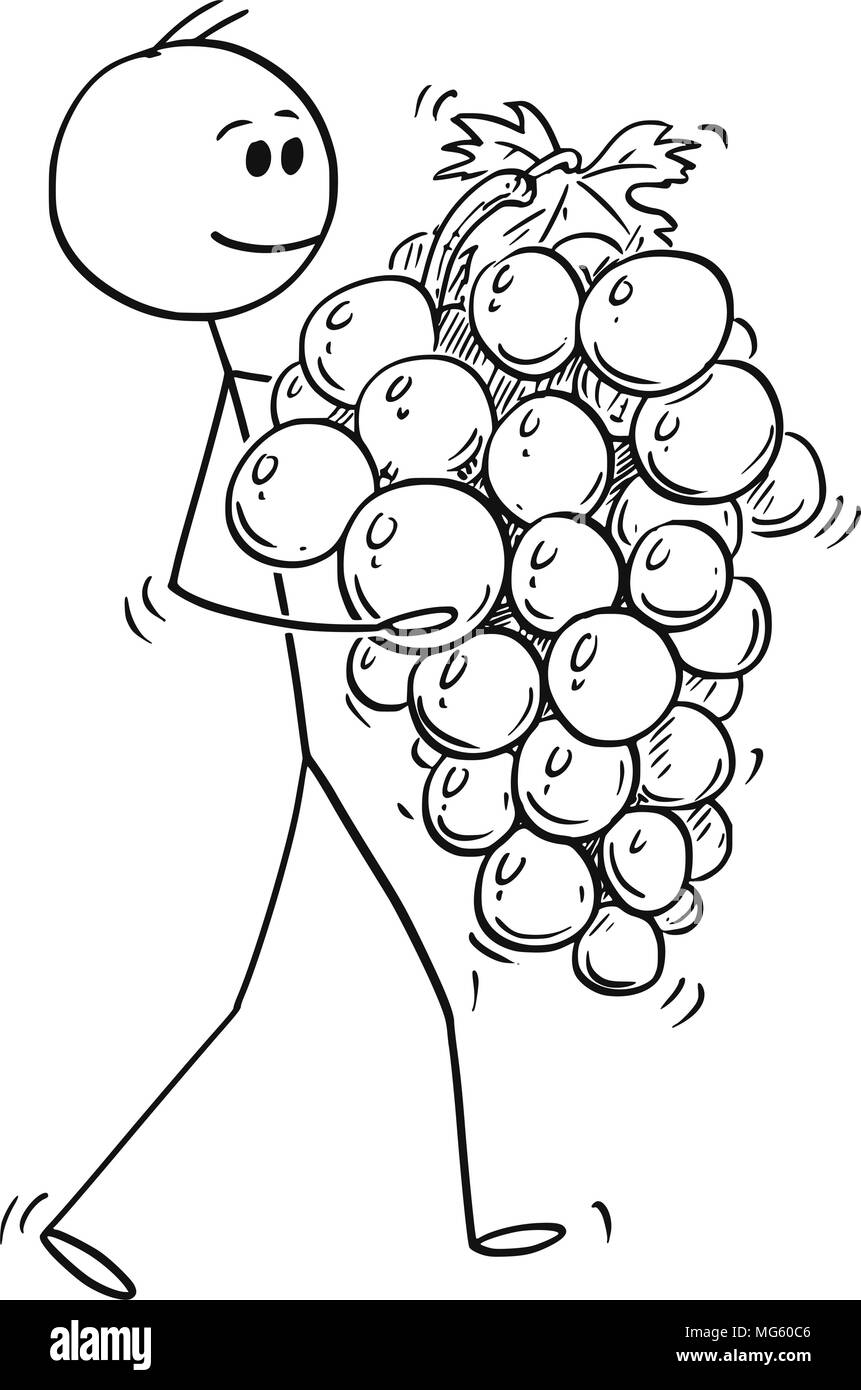 Caricature de l'homme exerçant son gros bouquet de fruits ou raisins mûrs Illustration de Vecteur