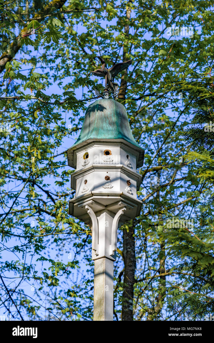 Maison d'oiseau, girouette, Fleetwood Park, Surrey, Colombie-Britannique, Canada. Banque D'Images