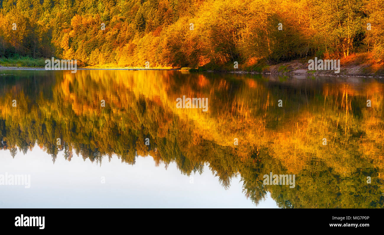 Ce qui reflète les couleurs de l'automne le long de la rivière de sable près de Gresham, Oregon Banque D'Images