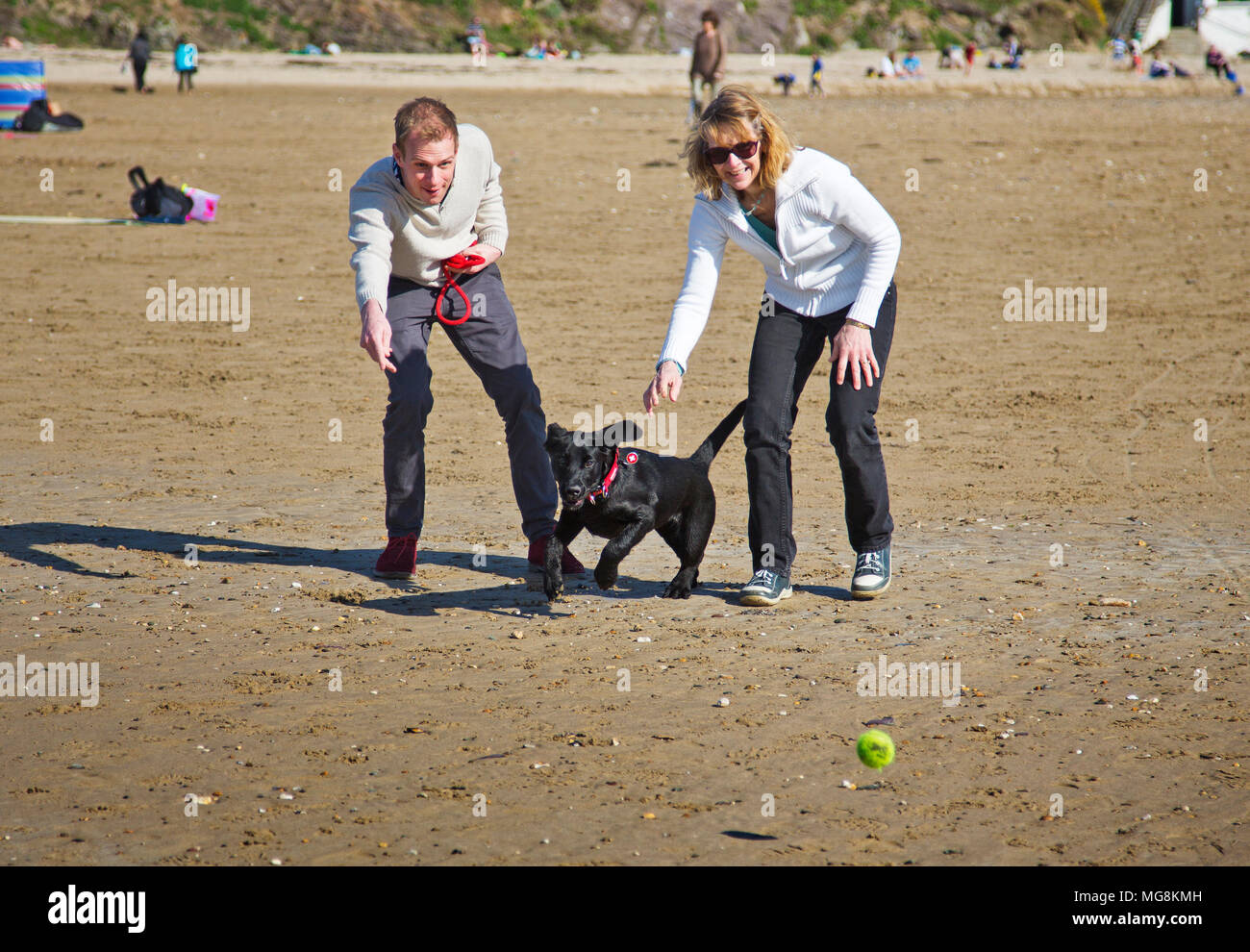 Un couple lançant une boule pour un chien sur une plage de Cornouailles Banque D'Images