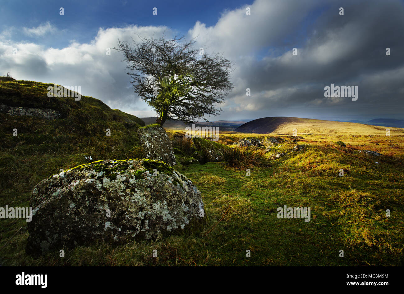 Dartmoor National Park, Devon, Angleterre Banque D'Images