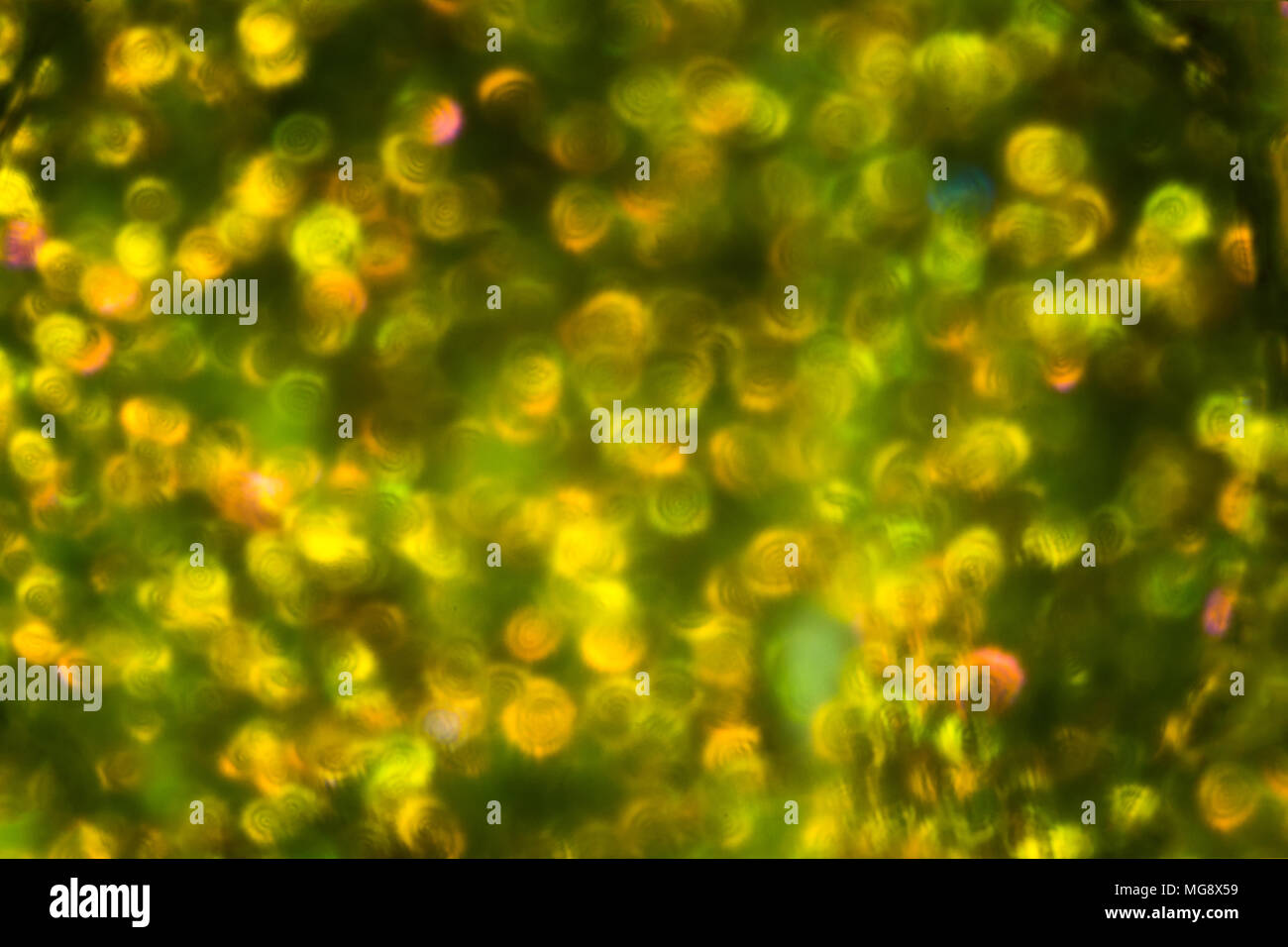 Tissu imprimé abstrait jaune vert sur la texture de l'argent Projet de loi israélien de 50 sicle sous le microscope. Closeup macro photographie. Banque D'Images